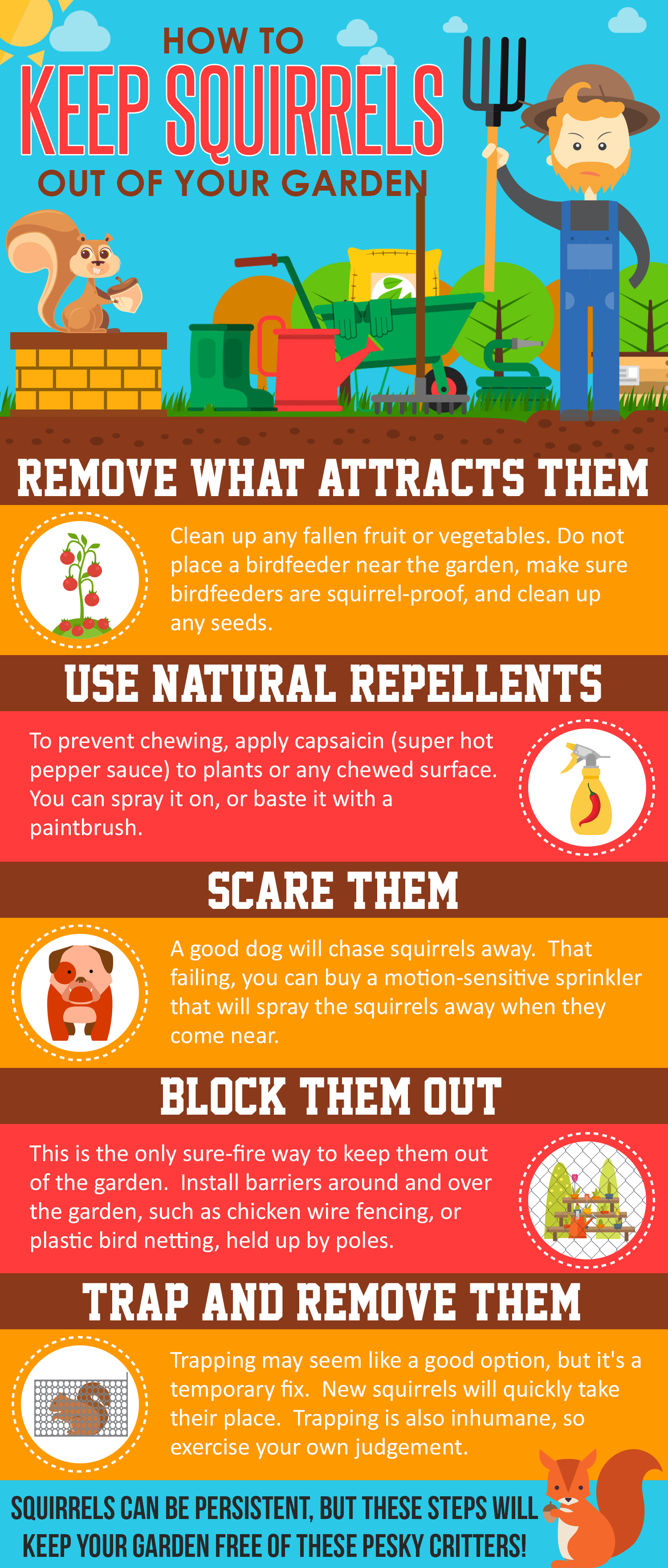 How To Keep Squirrels Out Of My Garden Infographic